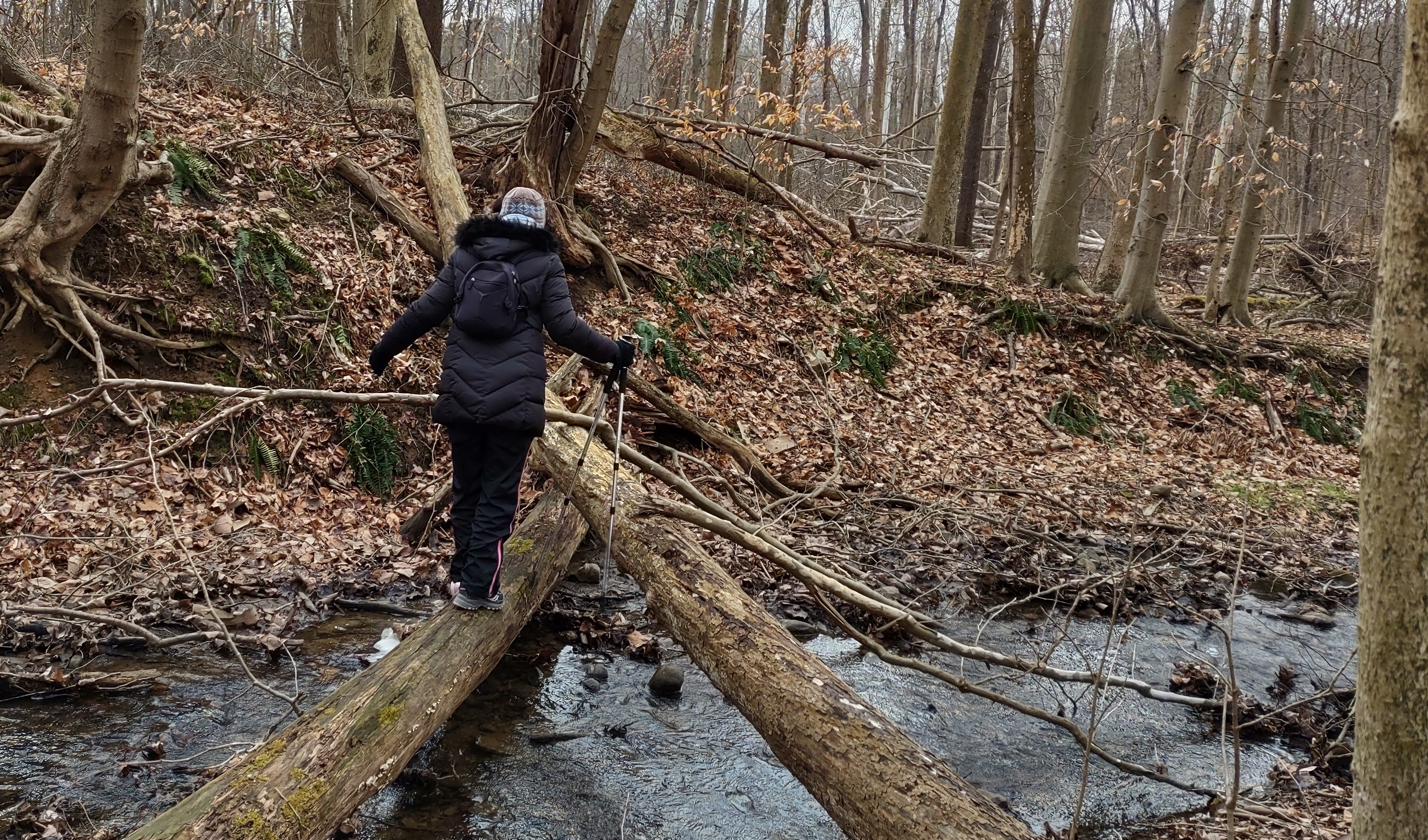 IMG_20230109_140630754_HDR