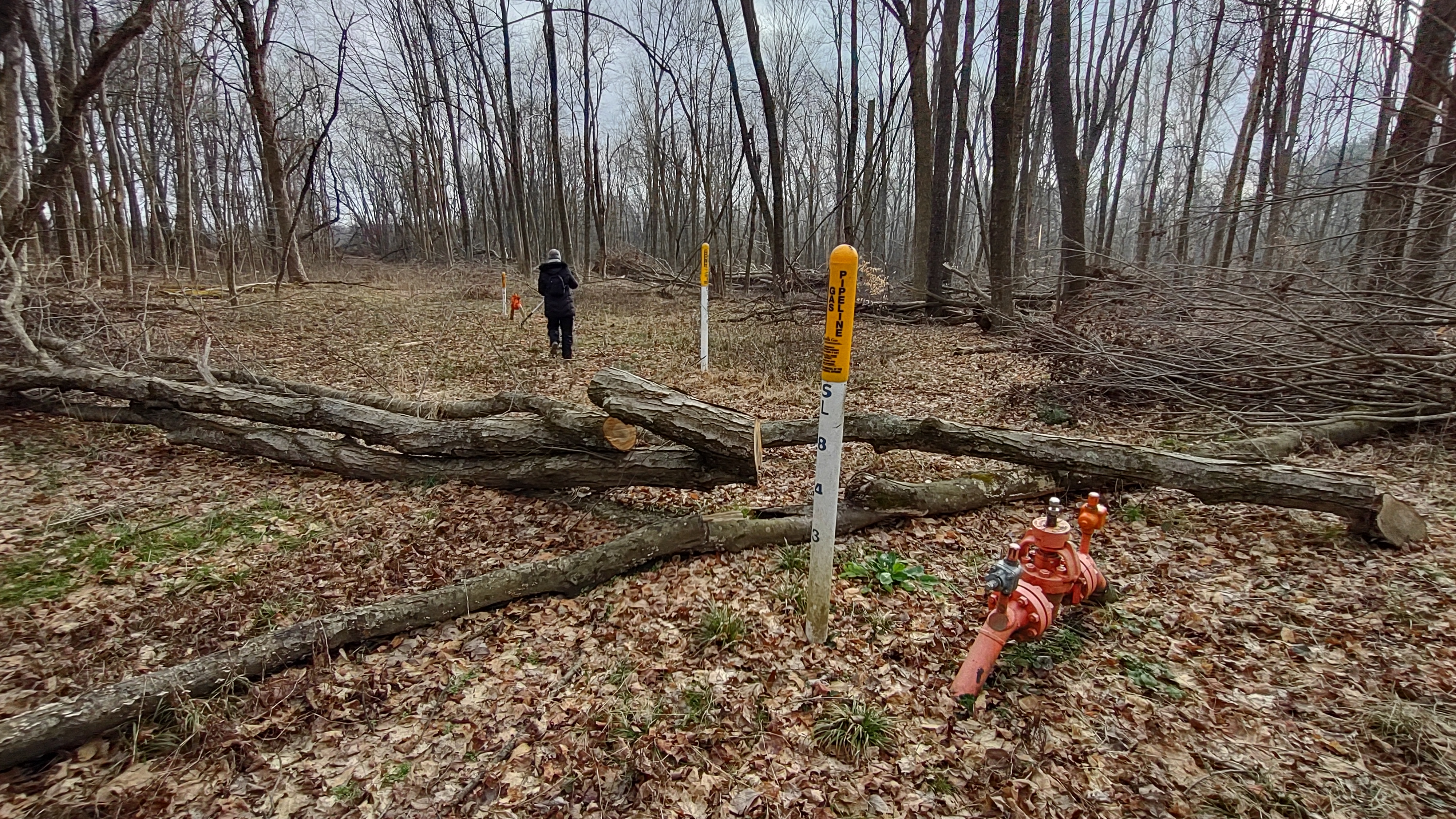 IMG_20230109_141539889_HDR