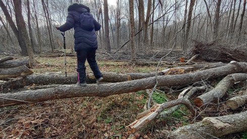 IMG_20230109_142010576_HDR