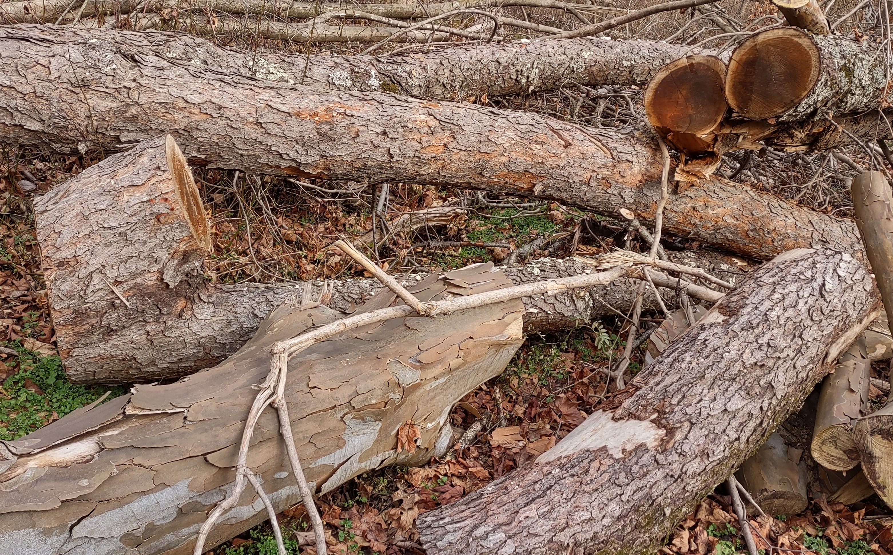 IMG_20230109_142214670_HDR