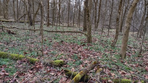 IMG_20230109_142850239_HDR