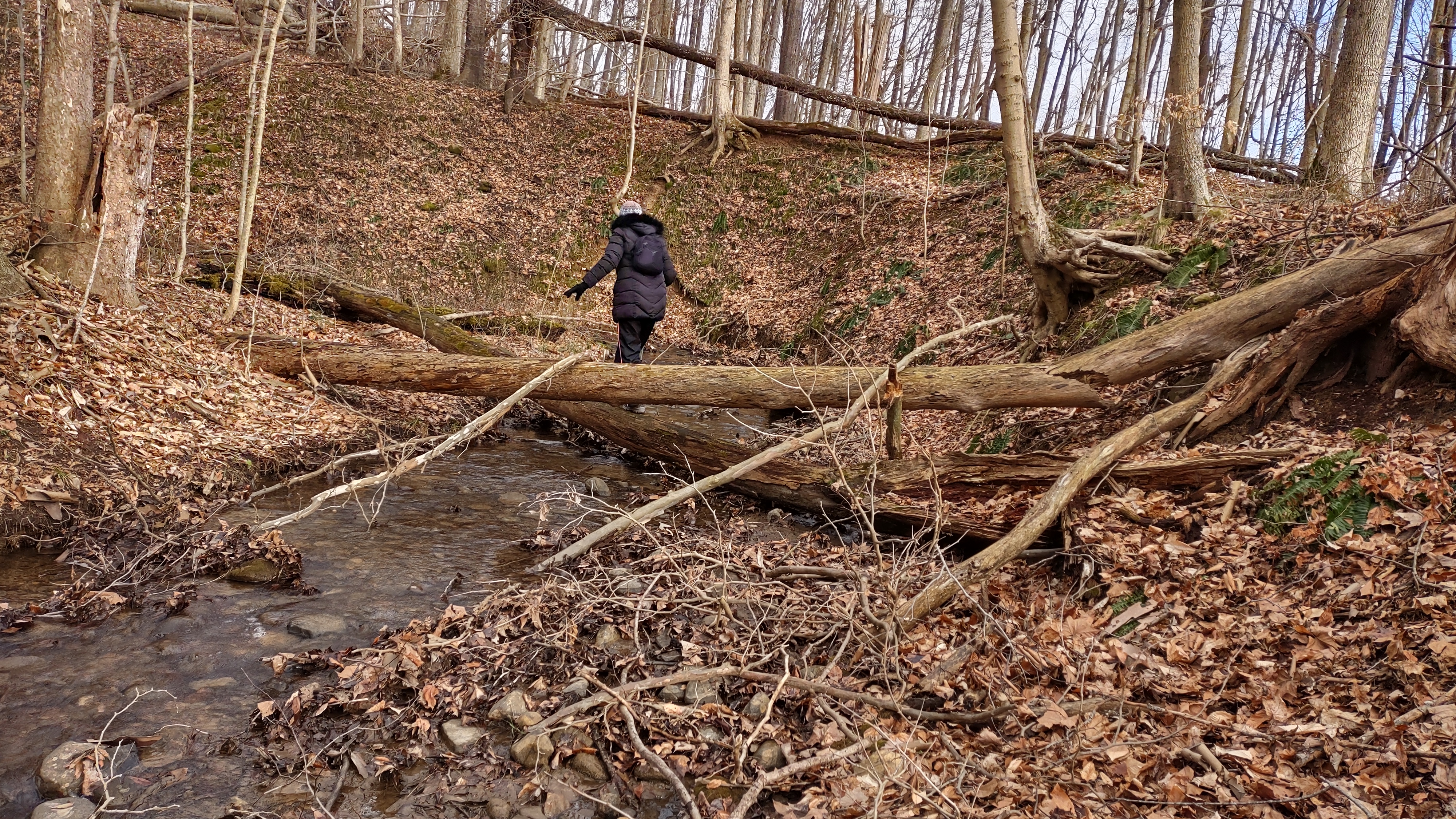 IMG_20230109_144234908_HDR