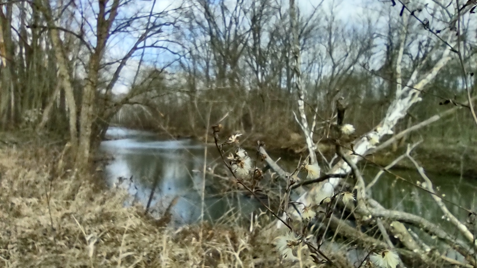 IMG_20230109_145430215_HDR