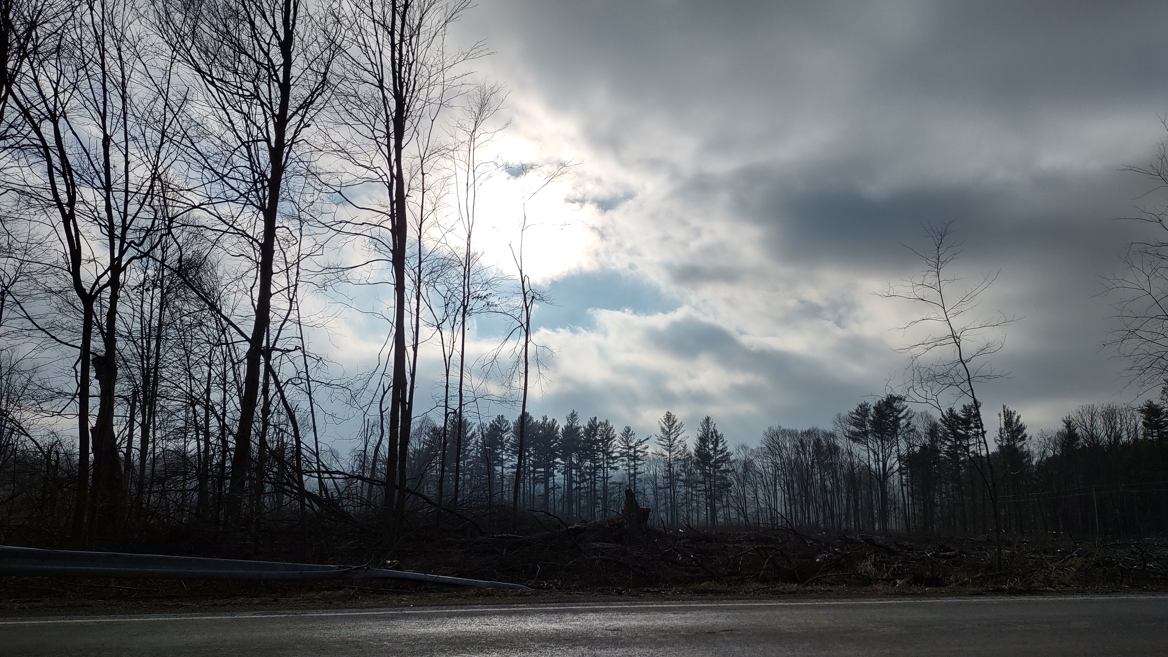 IMG_20230109_145802034_HDR