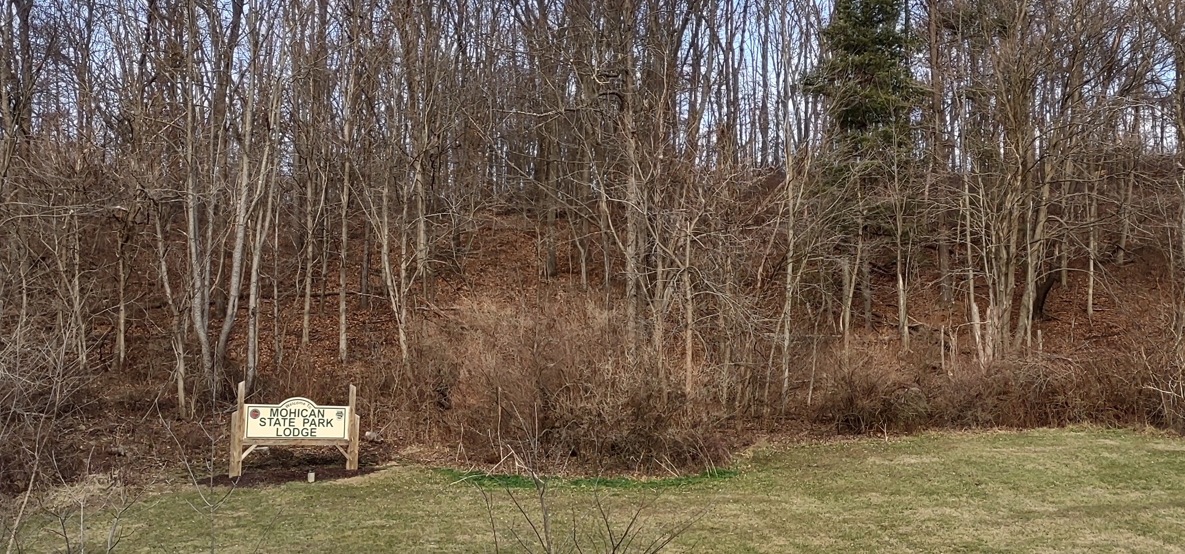 IMG_20230109_150858693_HDR