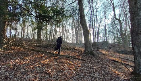 IMG_20230109_151851527_HDR