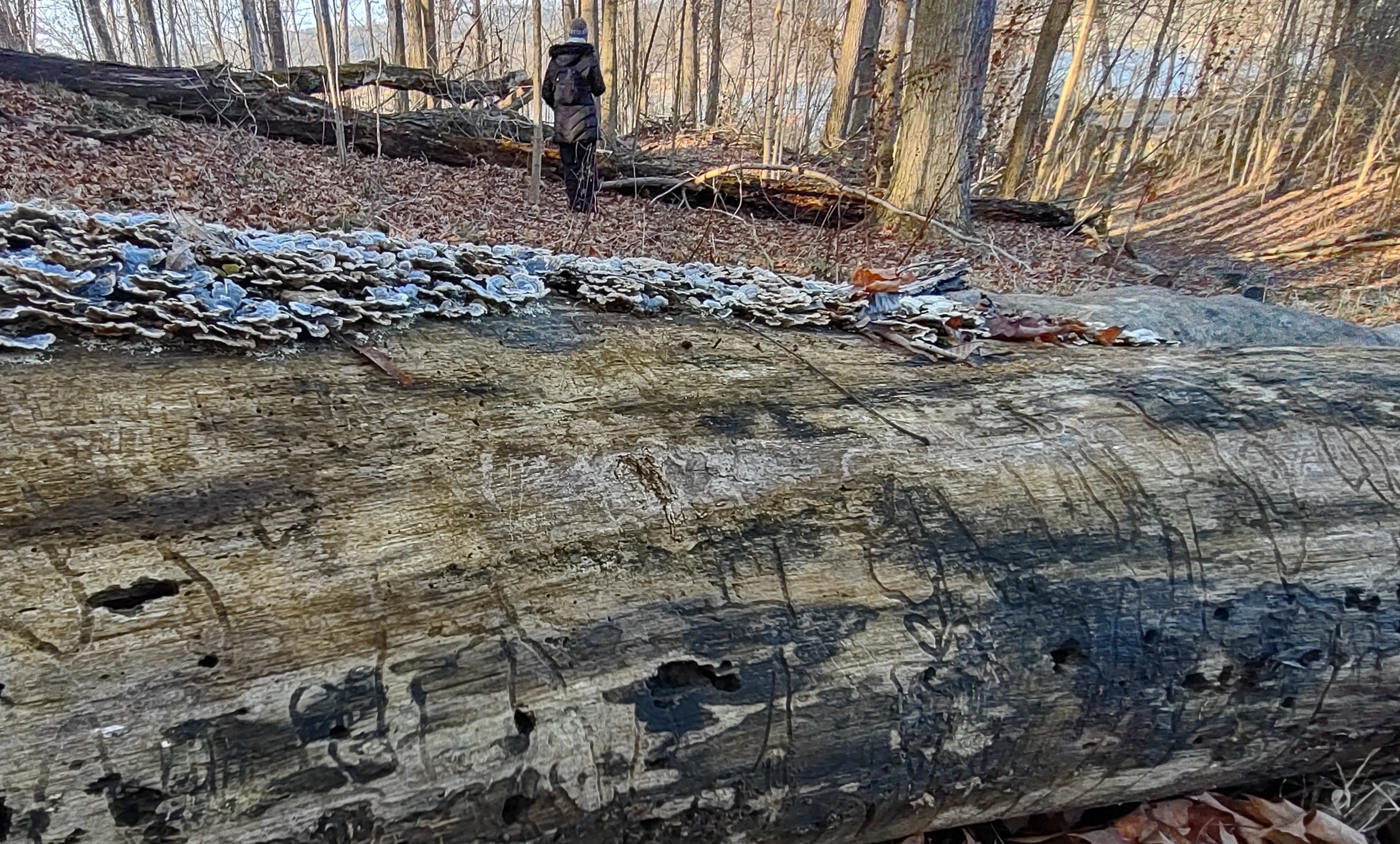 IMG_20230109_152253136_HDR