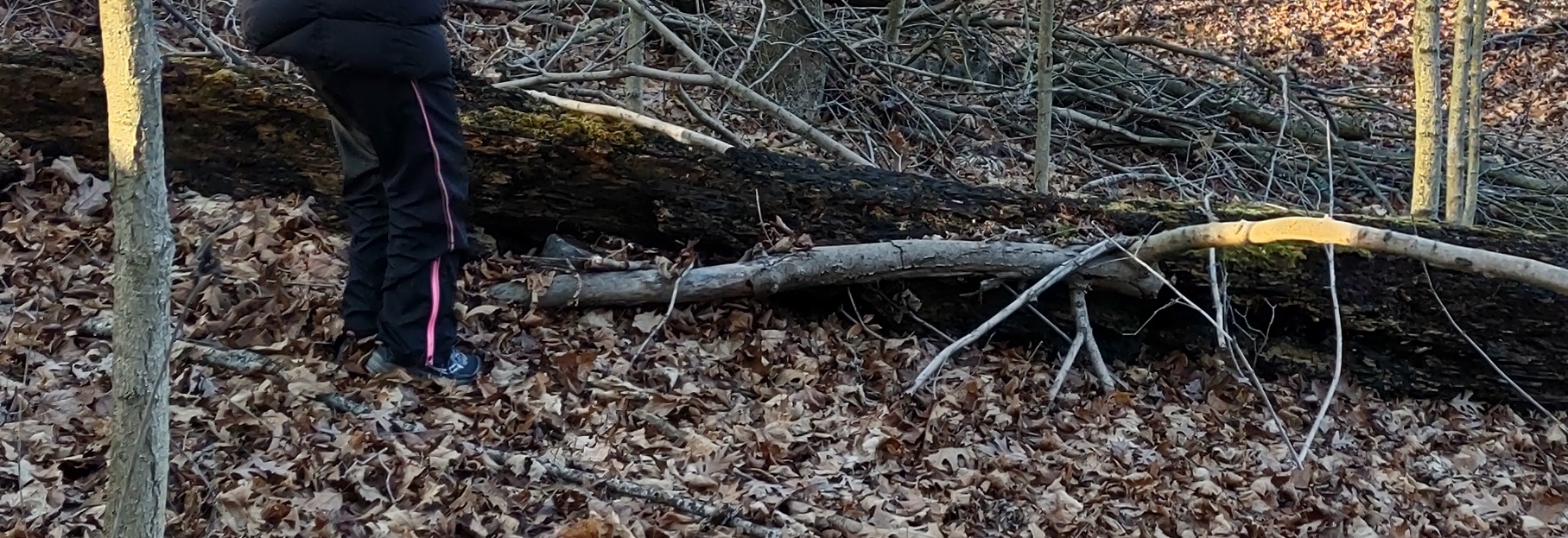 IMG_20230109_152444449_HDR