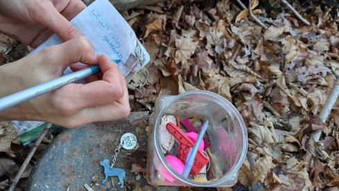 IMG_20230109_152637692_HDR