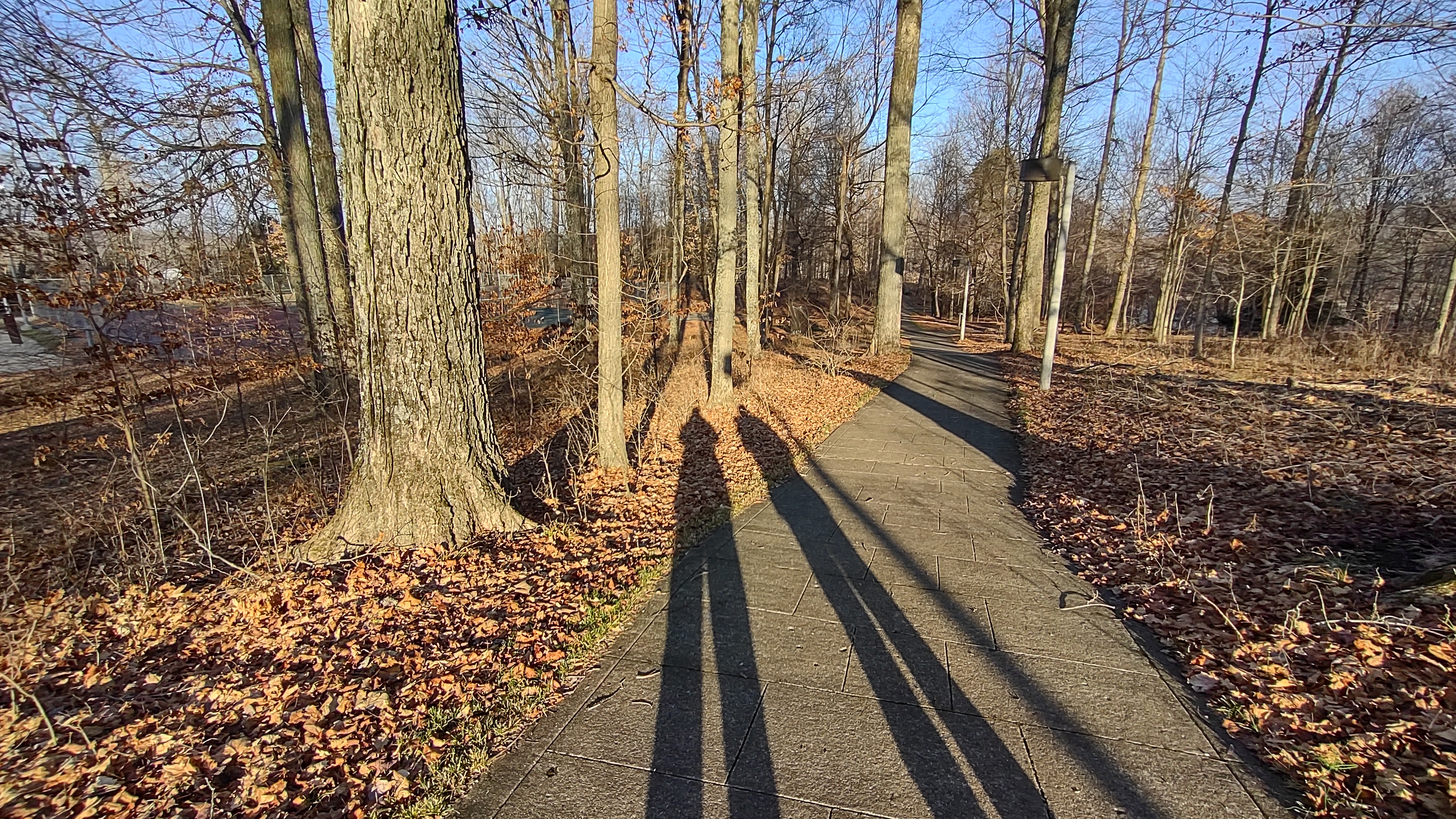 IMG_20230109_153642745_HDR