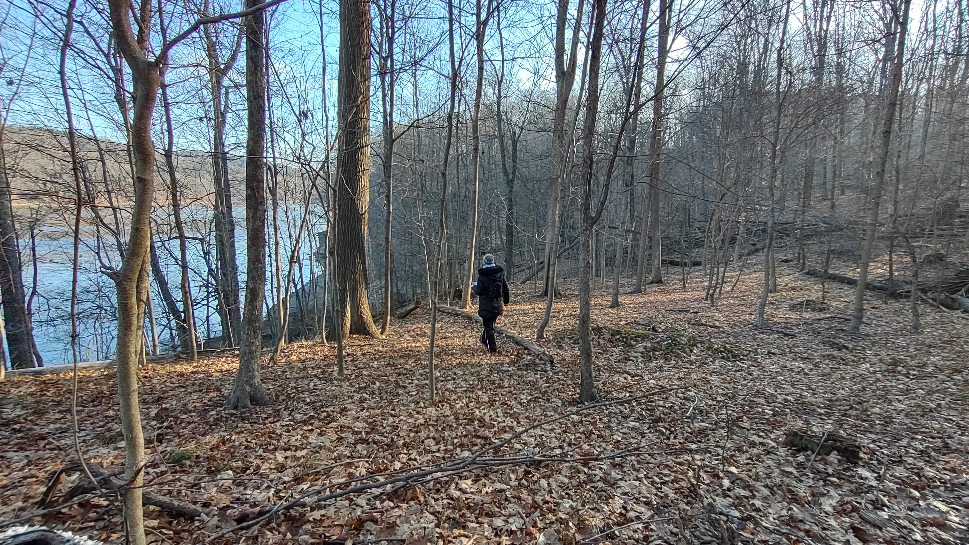 IMG_20230109_154023664_HDR