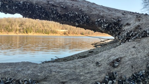 IMG_20230109_155232560_HDR