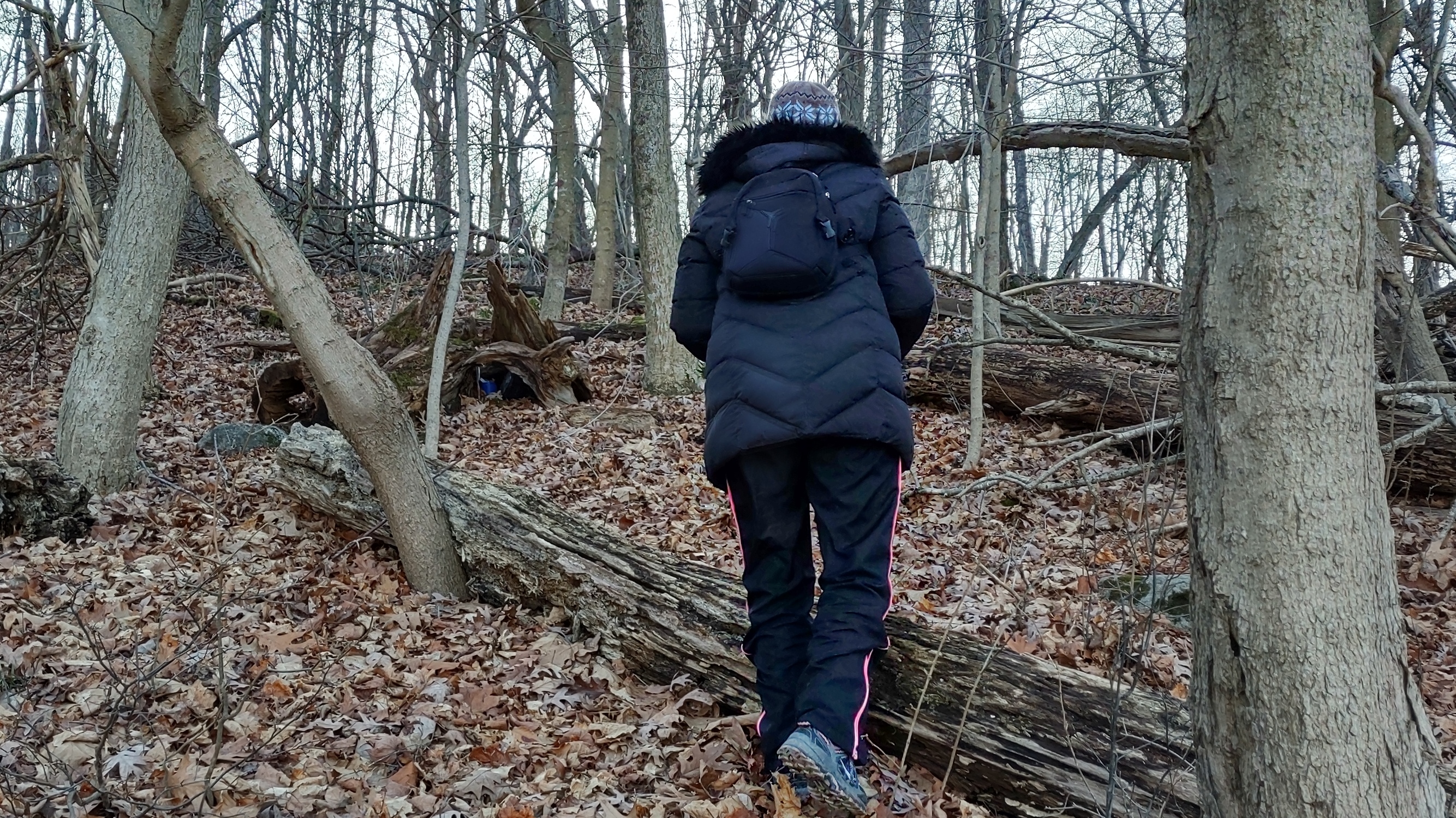 IMG_20230109_155355475_HDR