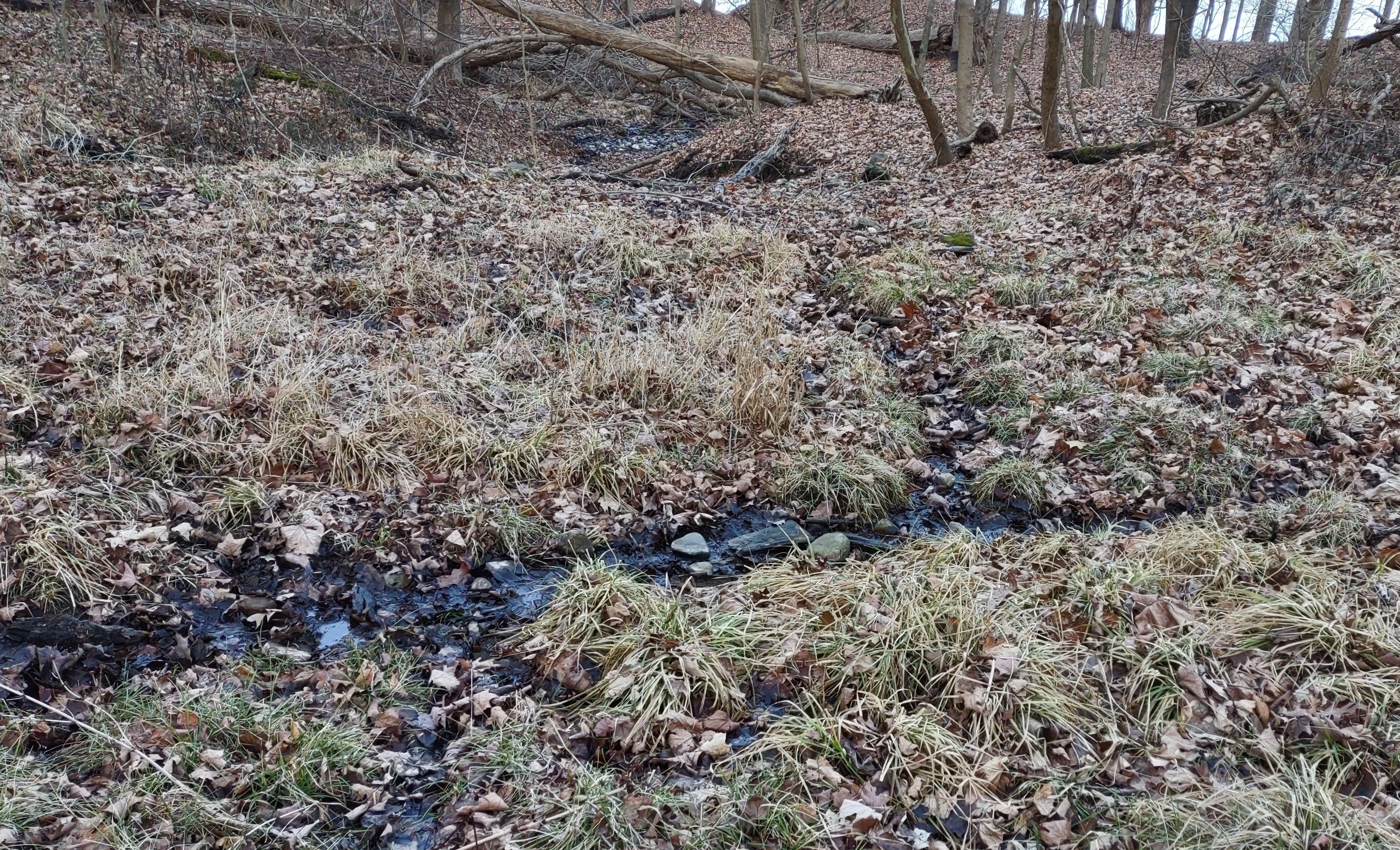 IMG_20230109_155951603