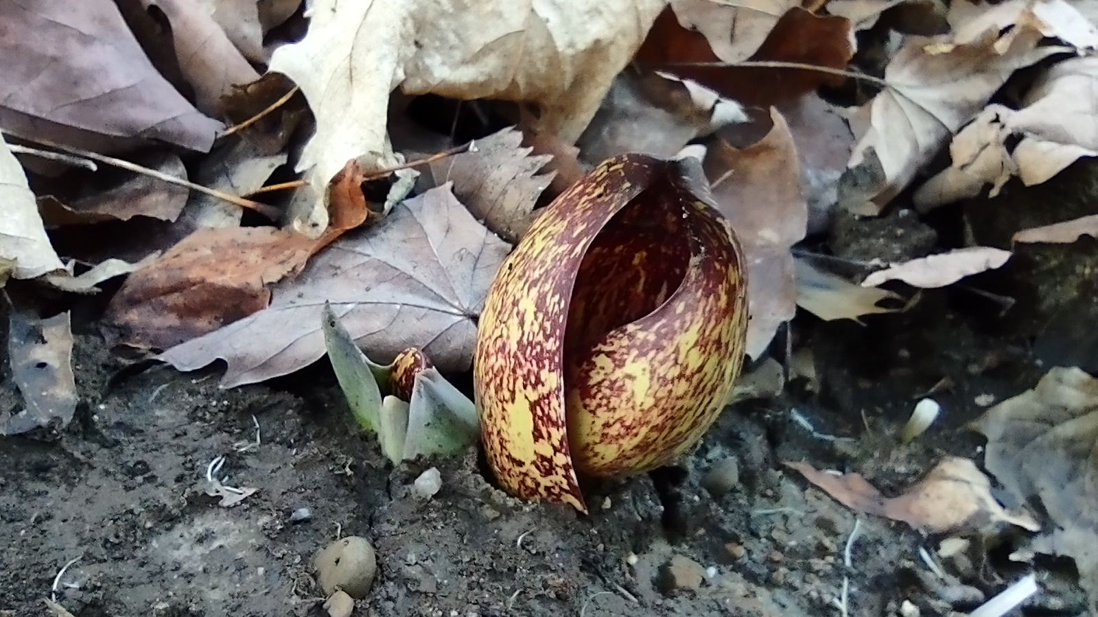 IMG_20230109_160004126