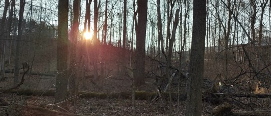 IMG_20230109_160248713_HDR