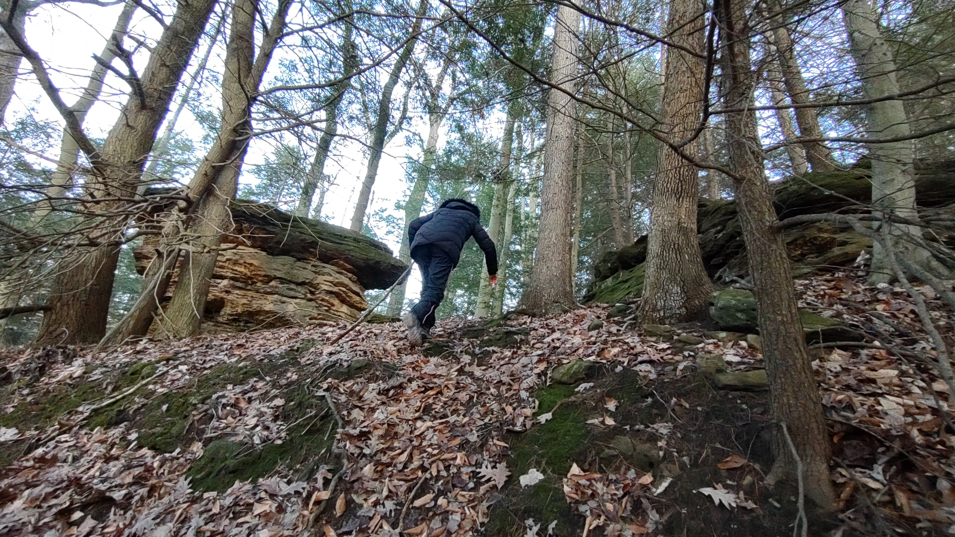 IMG_20230109_163811071_HDR