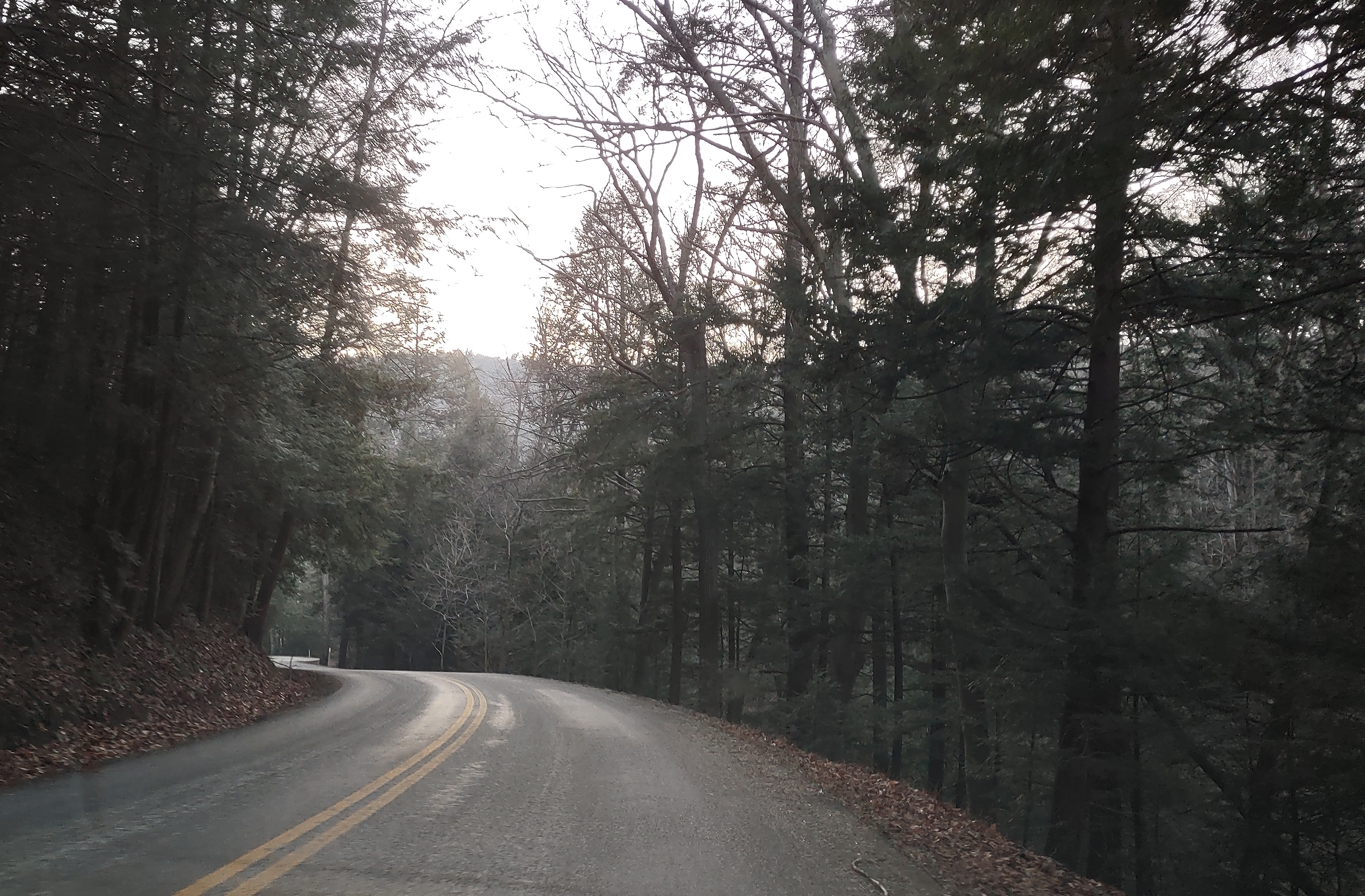 IMG_20230109_170310074