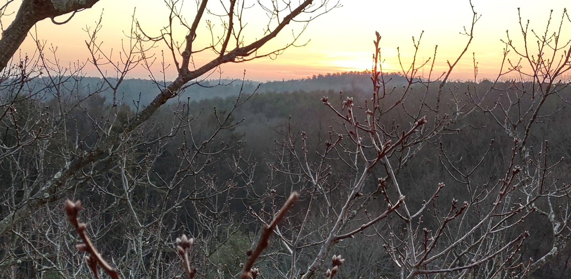 IMG_20230109_171823111_HDR