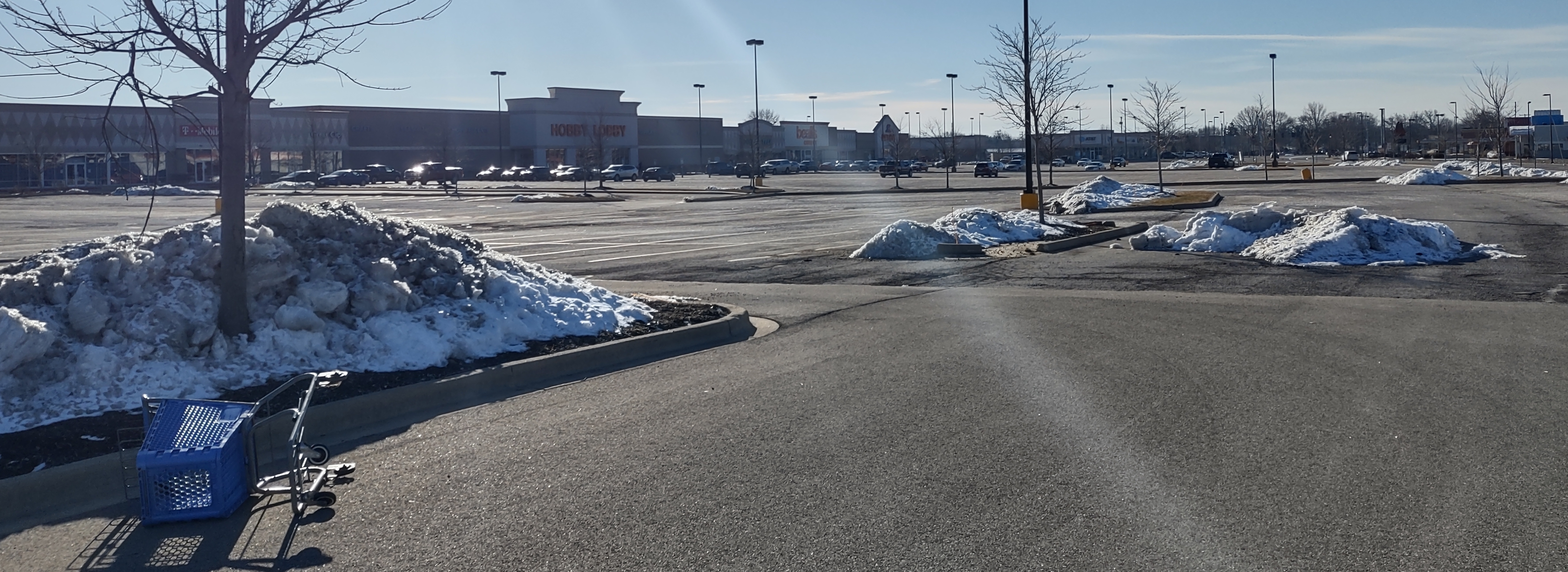 IMG_20230202_095026388_HDR