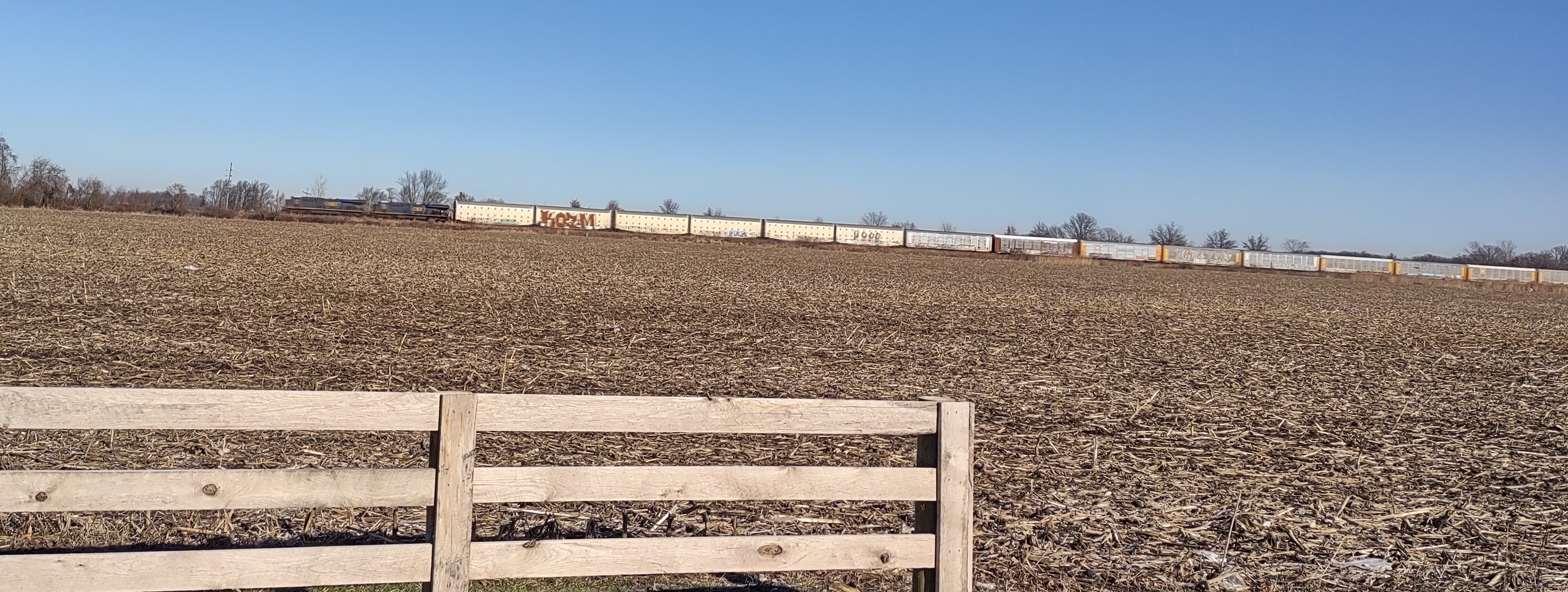 IMG_20230202_101535678_HDR