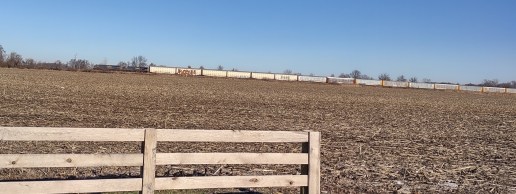 IMG_20230202_101535678_HDR