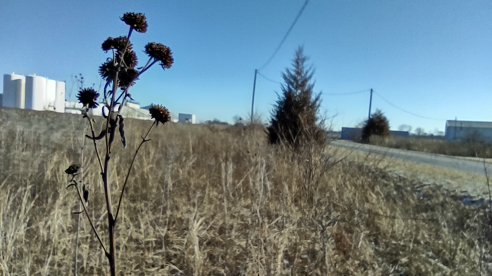 IMG_20230202_102804802_HDR