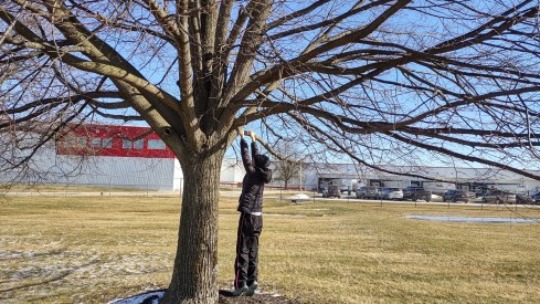 IMG_20230202_105924399_HDR