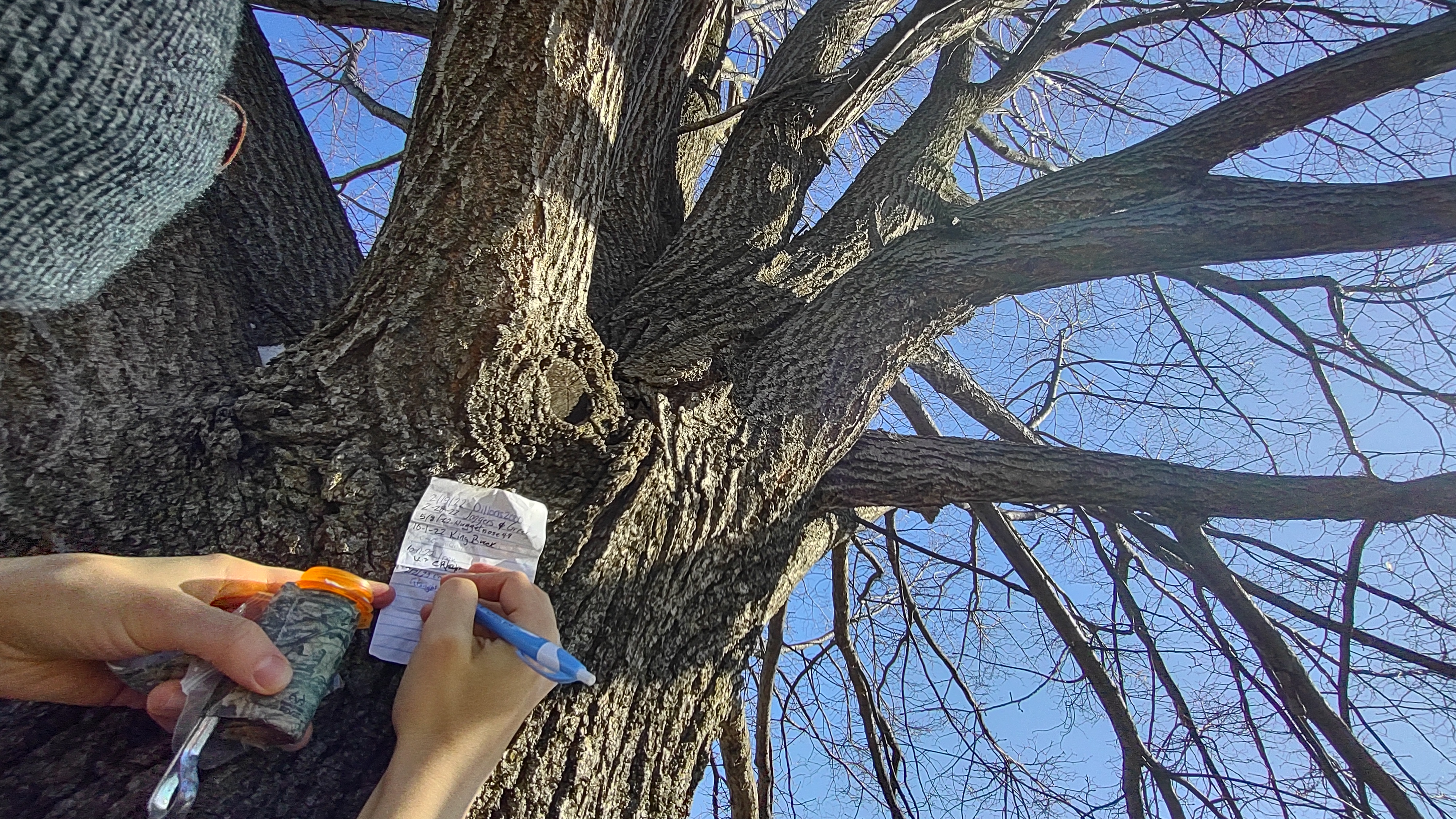 IMG_20230202_110151200_HDR