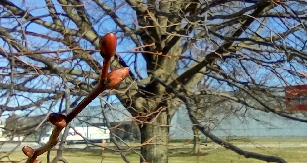 IMG_20230202_110310467_HDR