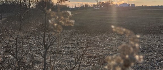 IMG_20230202_171204379_HDR