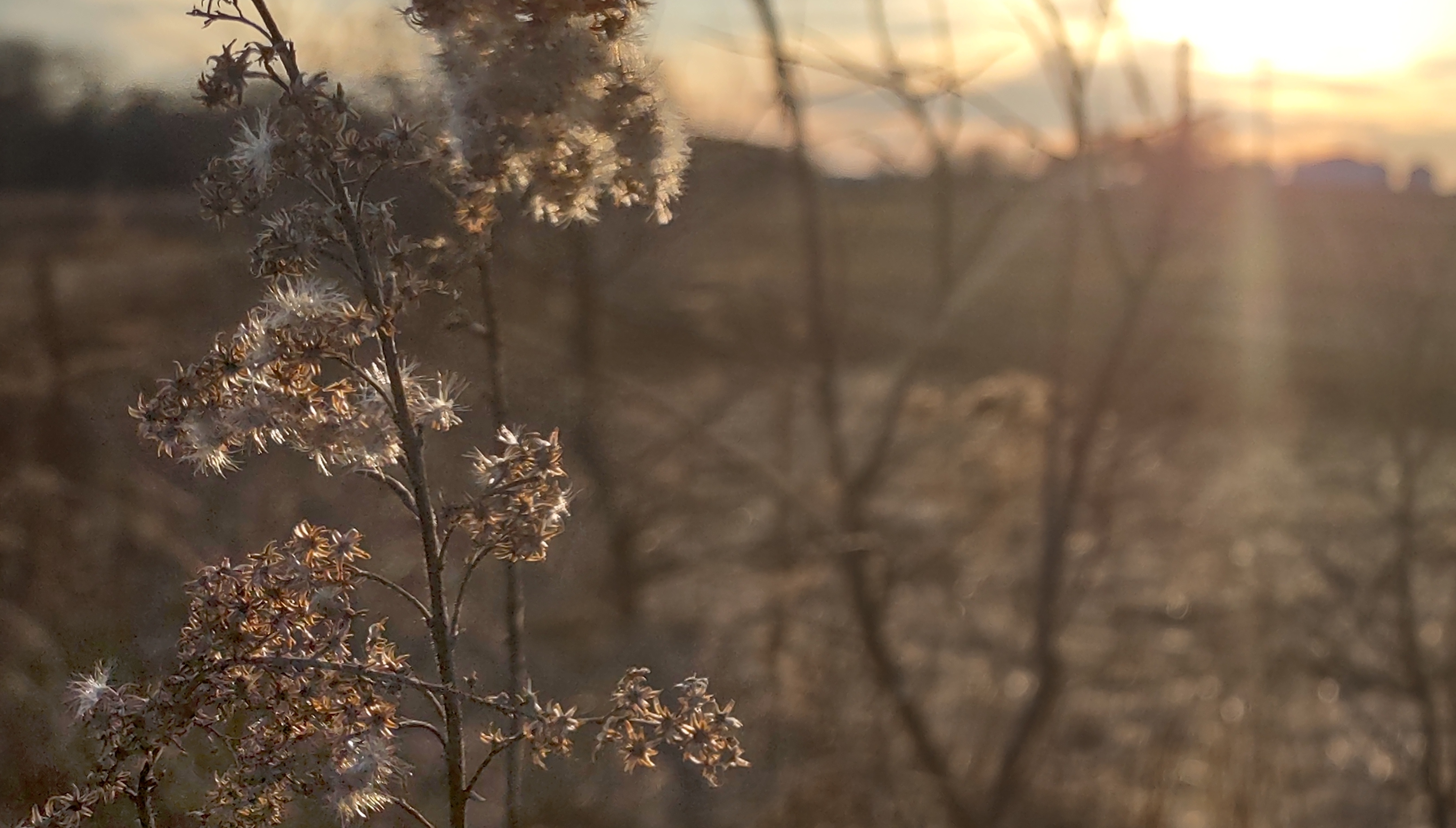 IMG_20230202_171230753_HDR