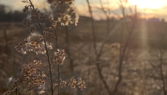 IMG_20230202_171230753_HDR