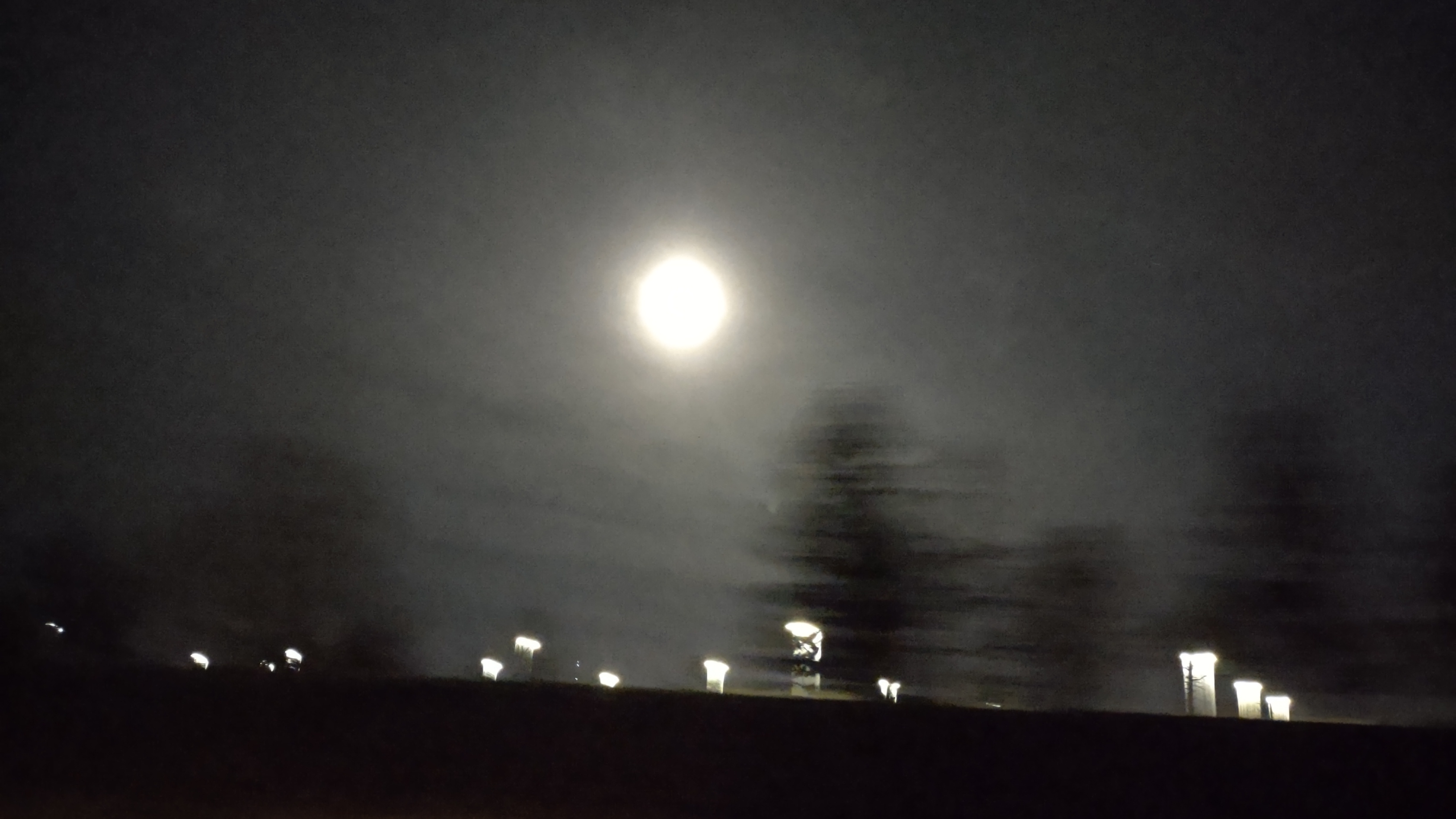 IMG_20230204_190129495