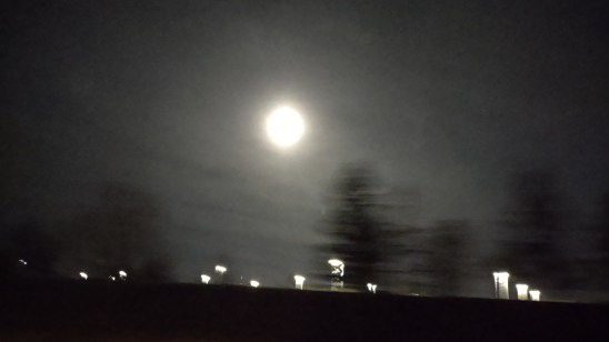 IMG_20230204_190129495