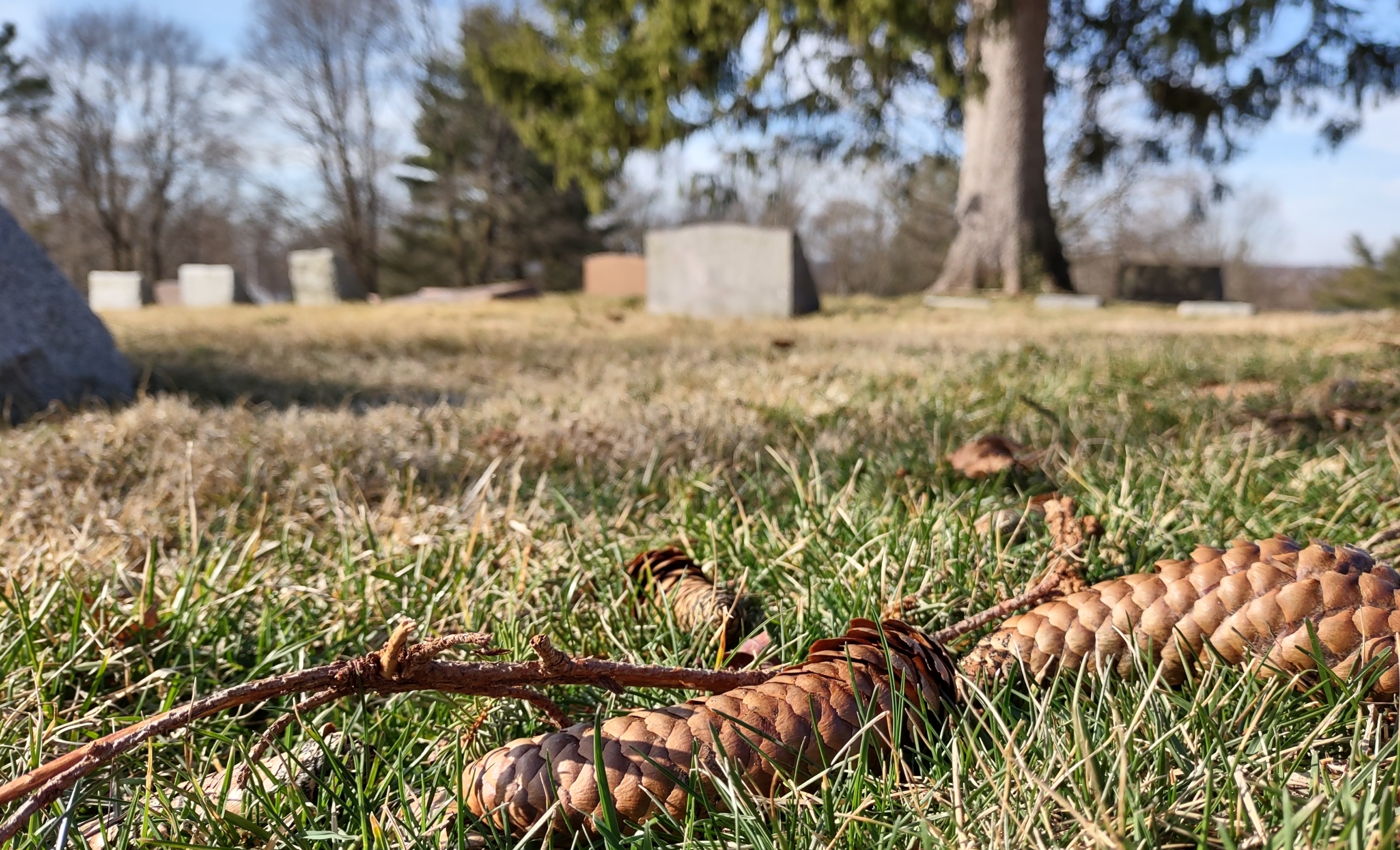 IMG_20230225_100356515_HDR