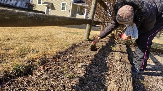 IMG_20230225_102303004_HDR