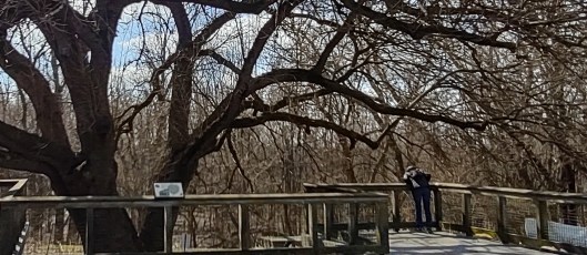 IMG_20230304_125342139_HDR