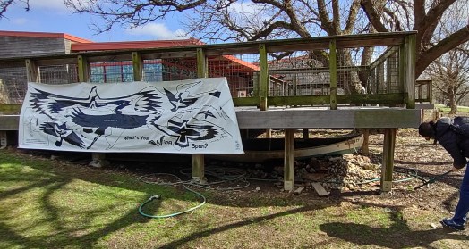 IMG_20230304_125638585_HDR