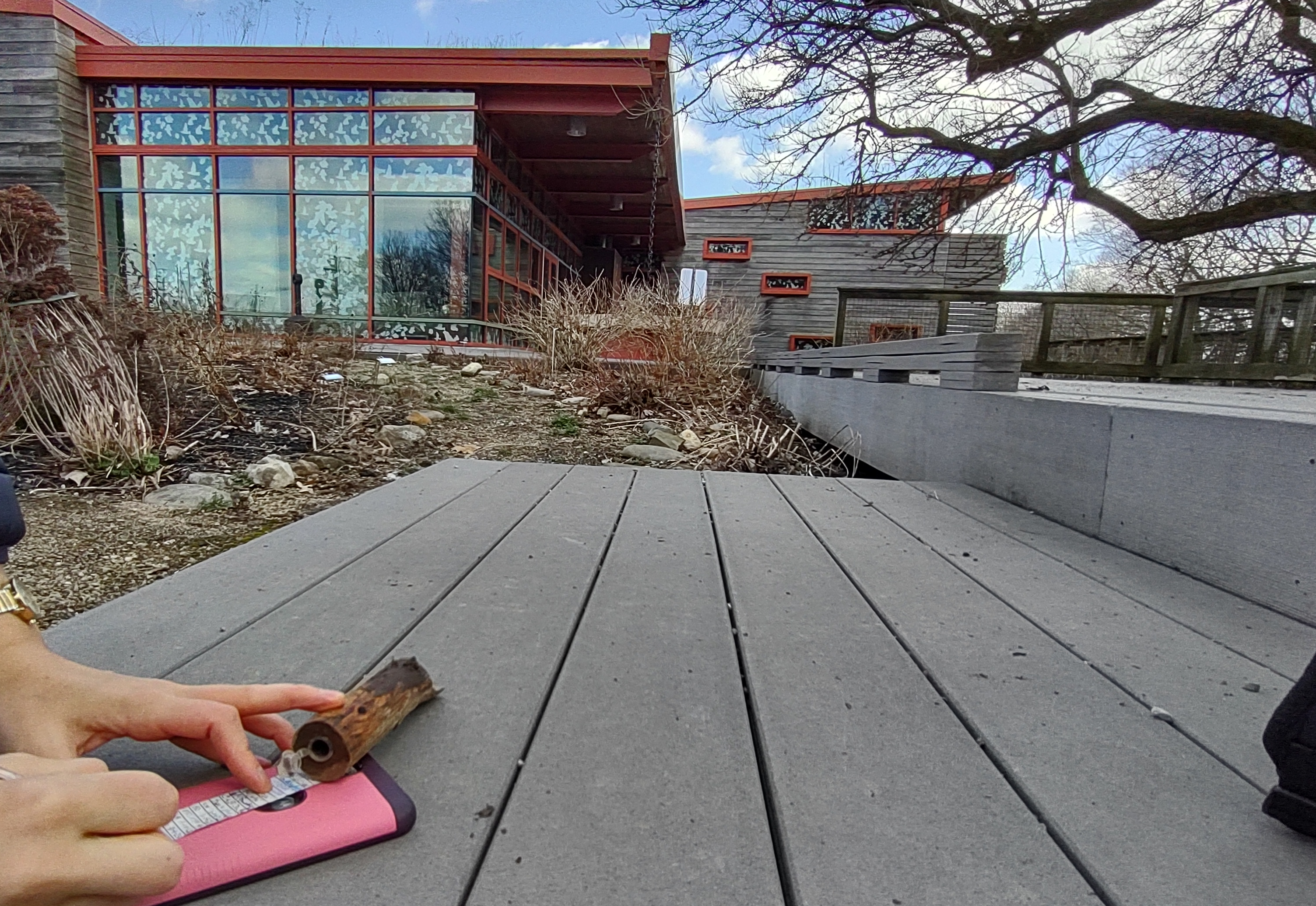 IMG_20230304_130549176_HDR