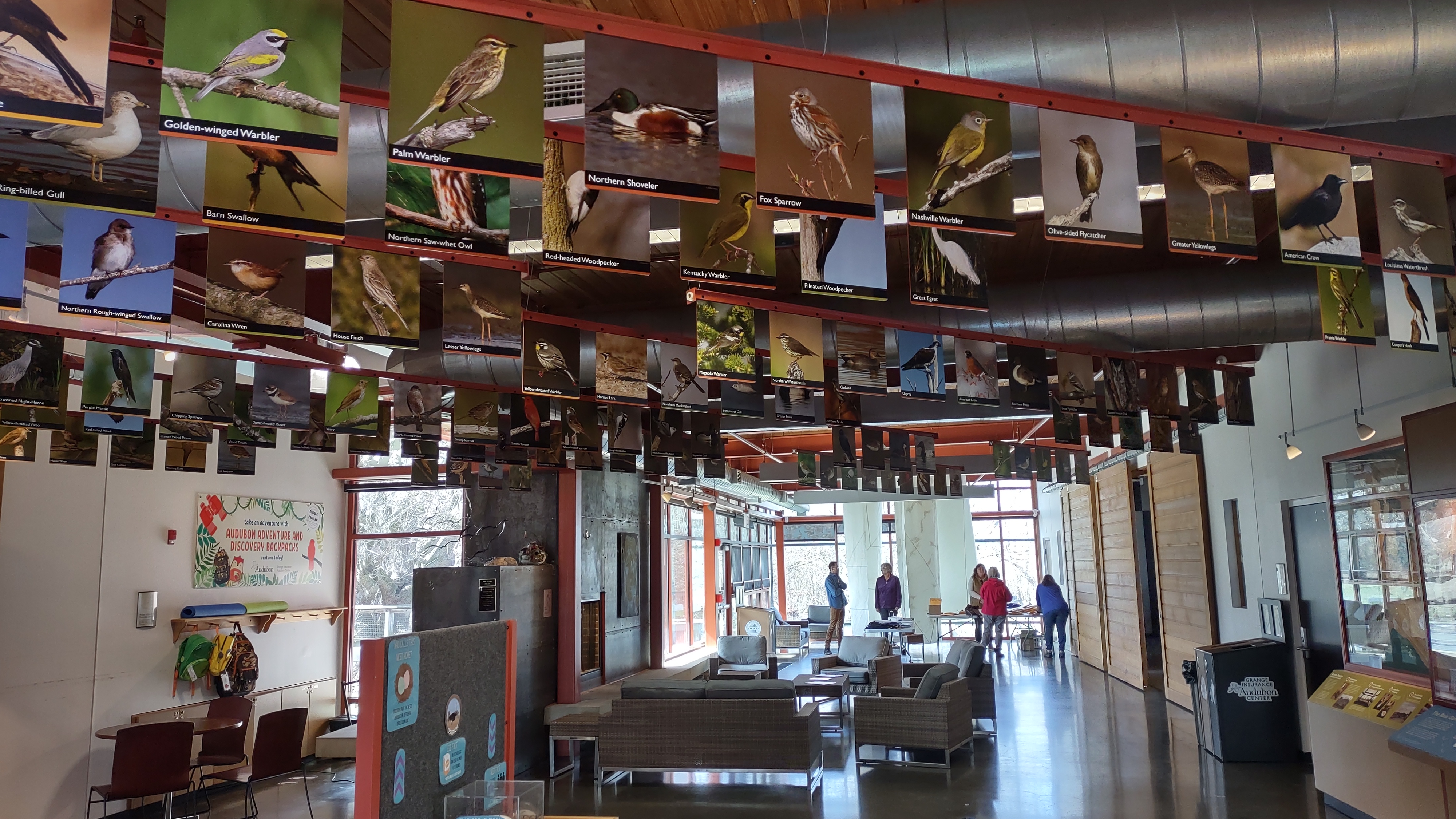 IMG_20230304_131659459_HDR