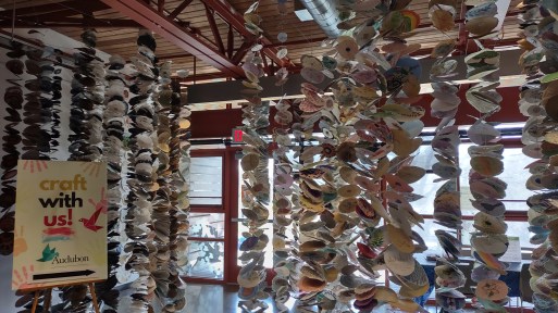 IMG_20230304_131848522_HDR