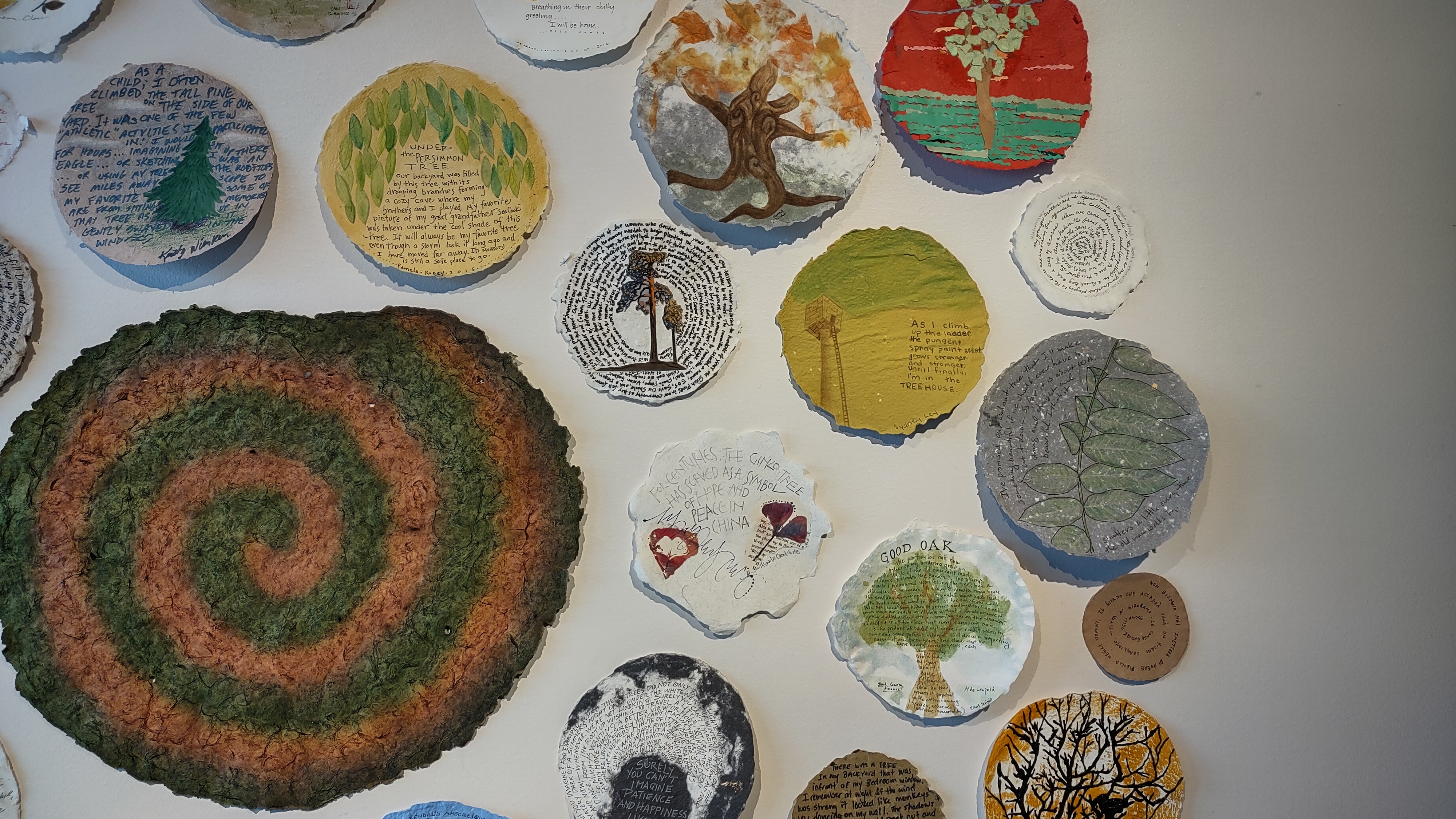 IMG_20230304_132126219_HDR