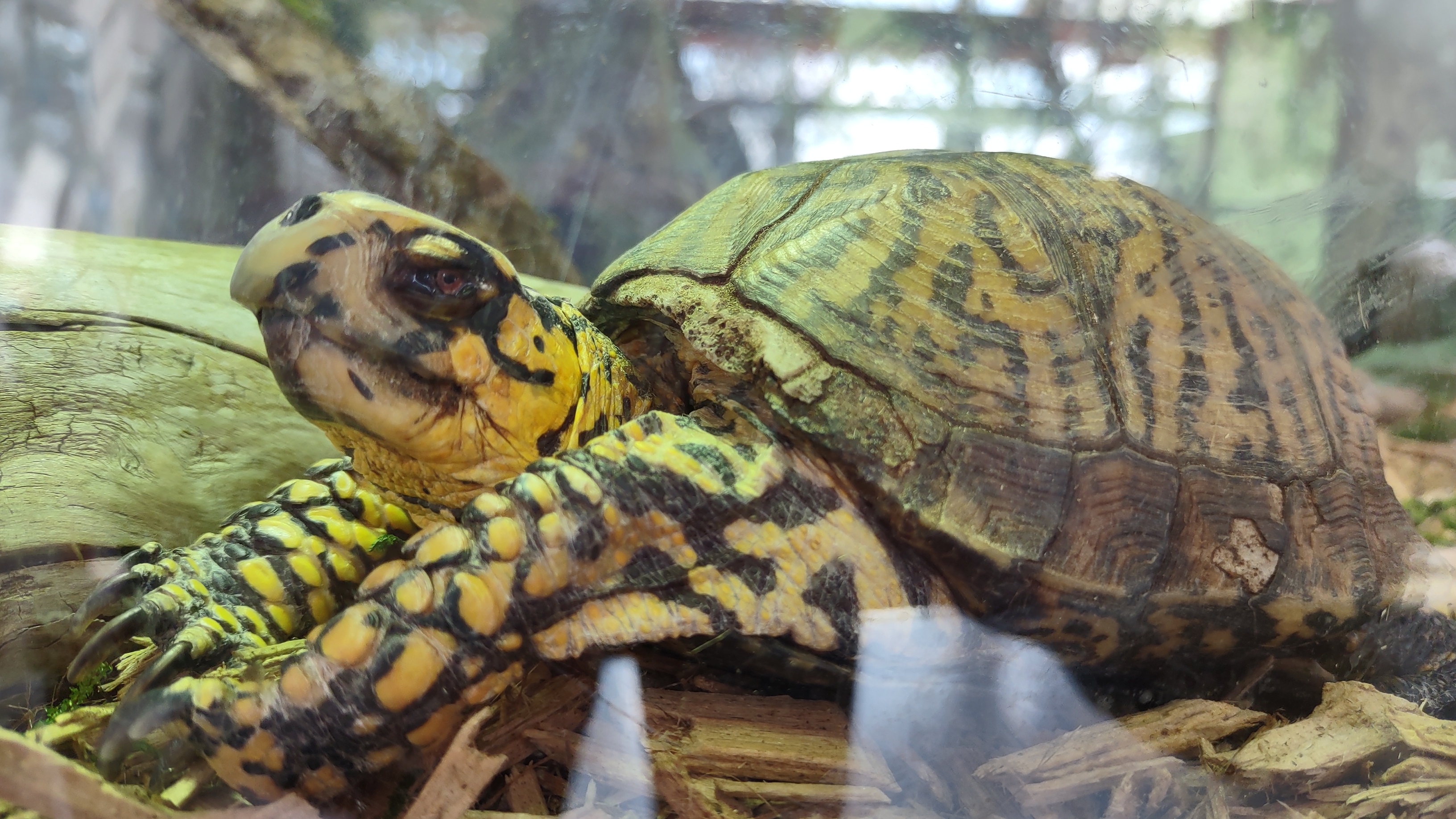 IMG_20230304_132358541