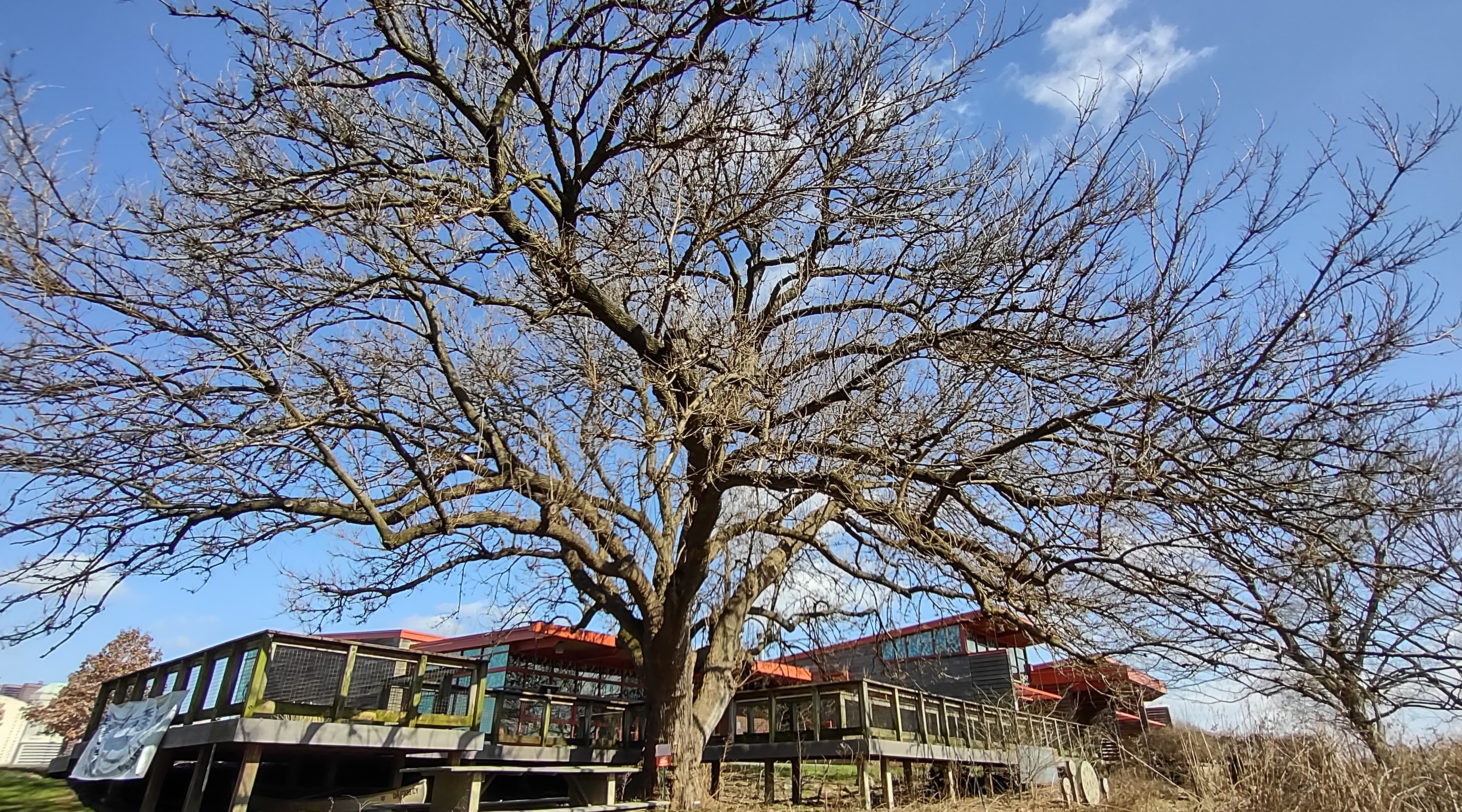 IMG_20230304_133930819_HDR