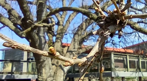 IMG_20230304_134006985_HDR