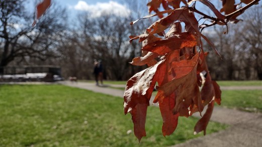 IMG_20230304_134445220_HDR