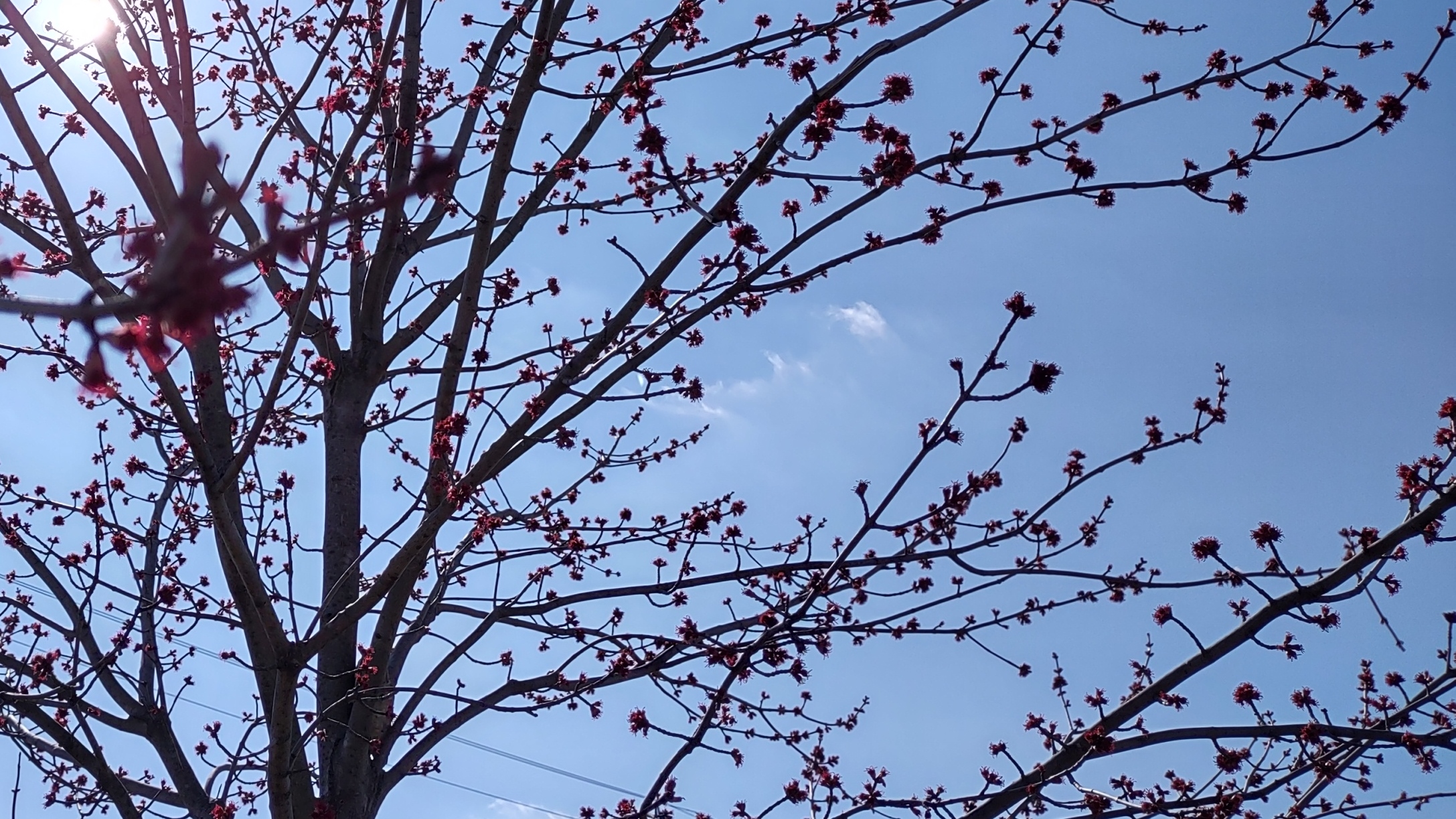 IMG_20230304_141430675_HDR