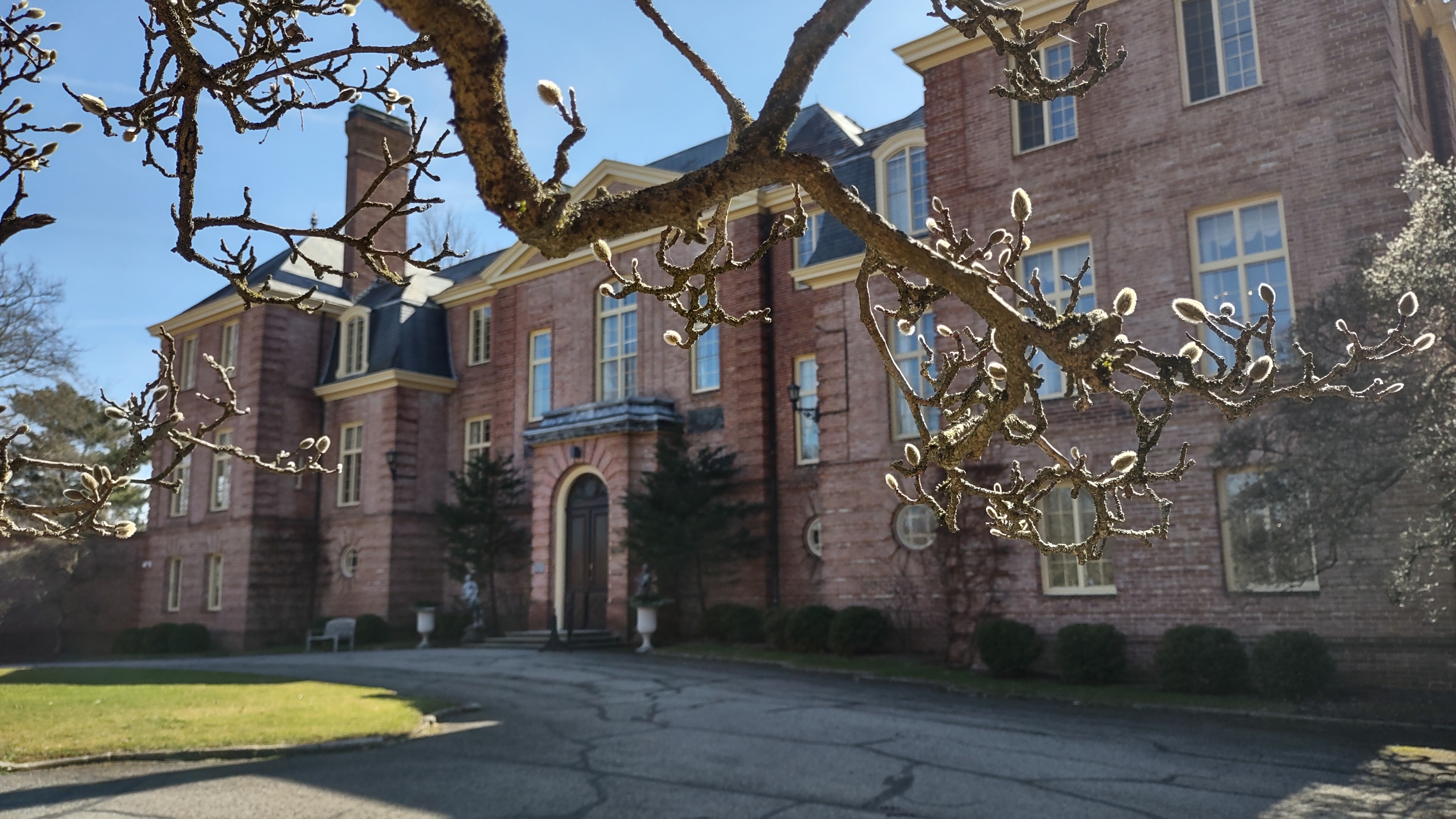 IMG_20230309_125505522_HDR