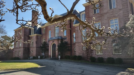 IMG_20230309_125505522_HDR